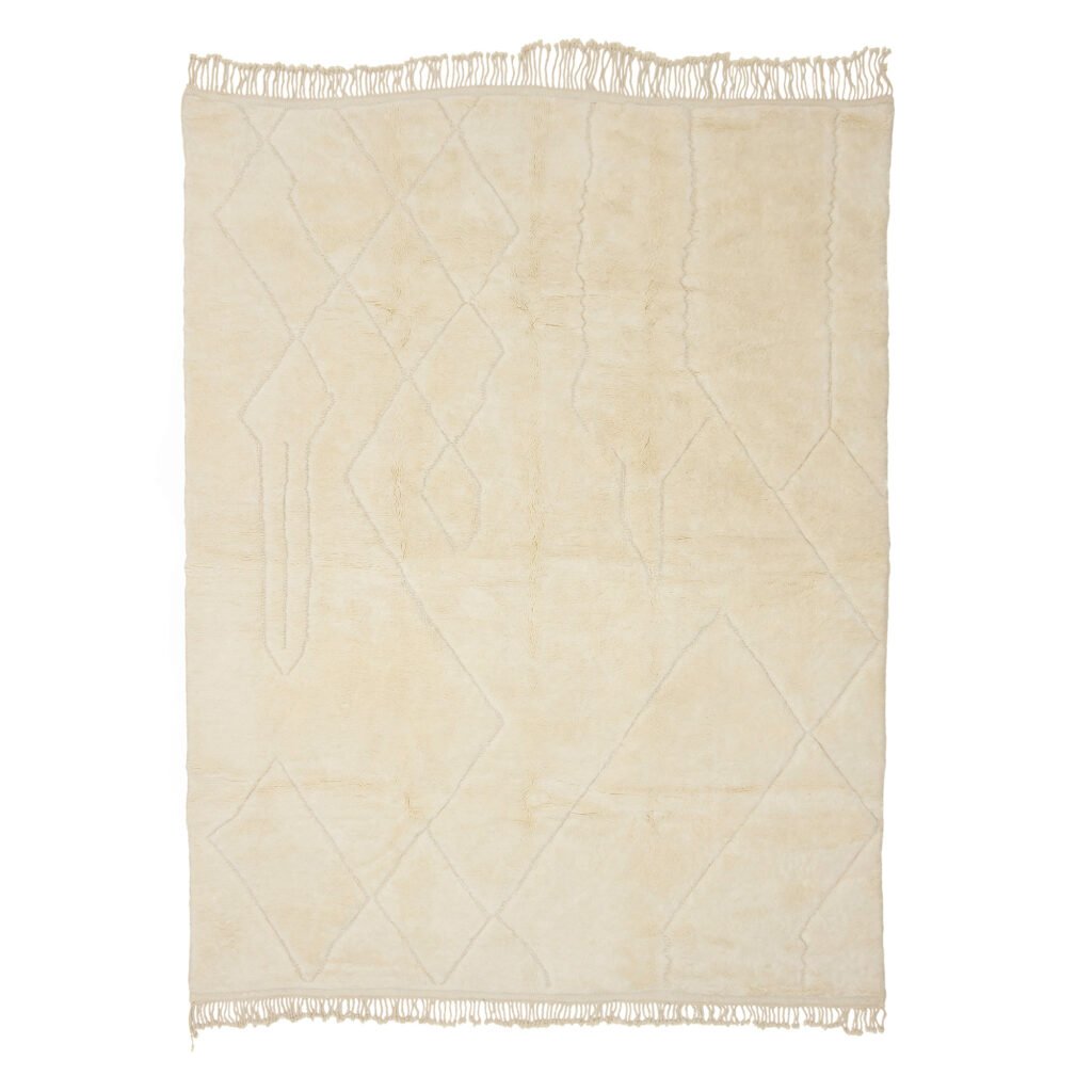 A beige area rug with geometric patterns and fringed edges, displayed against a white backdrop, adds a touch of elegance to any room.