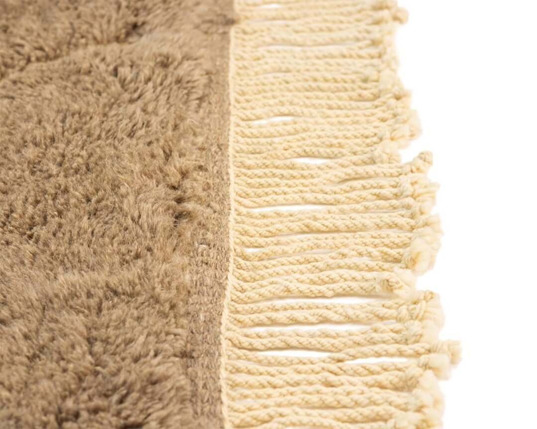 A detailed view of a richly textured brown rug, accented with beige fringes on one side, beautifully set against a plain white background.