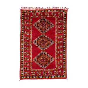 A vibrant red and black patterned rug featuring intricate geometric designs and an elegant decorative border, perfect for adding a touch of sophistication to any room.