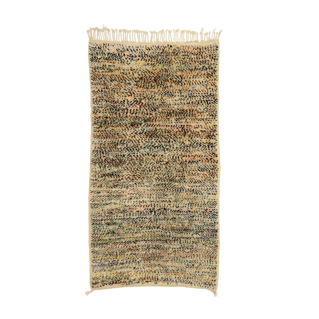 Hand-knotted rectangular multicolored rug featuring a textured, speckled pattern with fringed edges. This artisanal rug adds a touch of vibrant sophistication to any room.