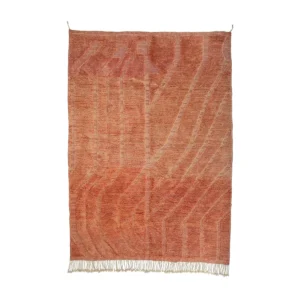 Rectangular area rug with a reddish-orange geometric pattern and cream fringe on one end, displayed flat against a white background.