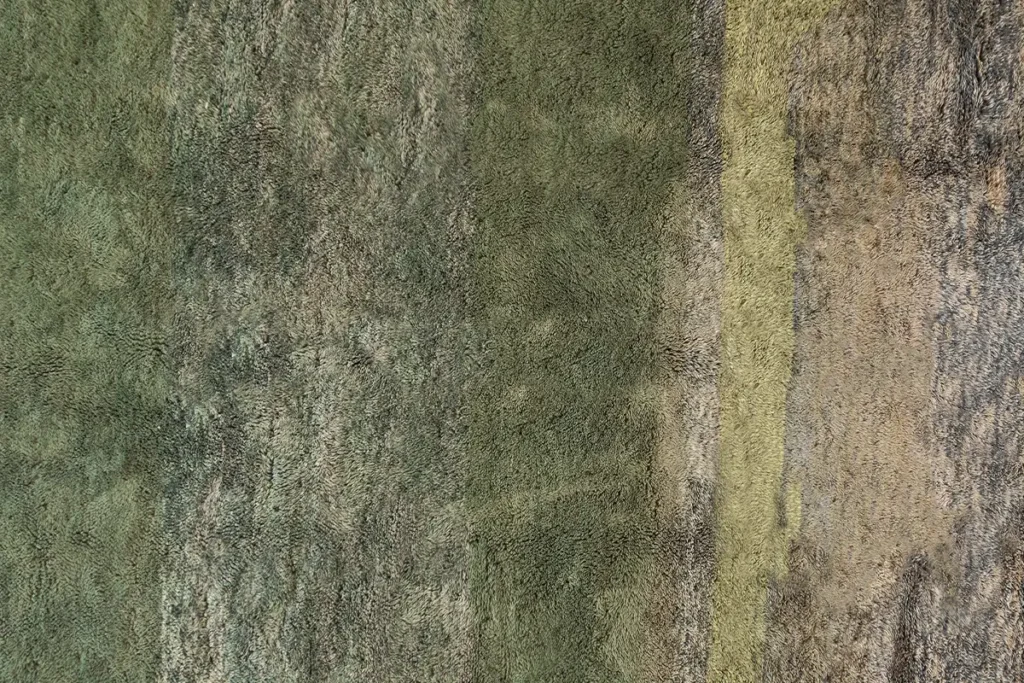 Azele Studio. Handmade wool rug. green rug. handmade vs machine made rugs. rugs with green